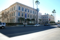 Wilshire Palm
