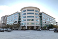 888 Walnut