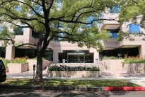 Maple Plaza