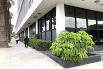10. Exterior