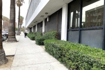 11. Exterior