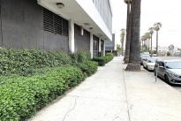 12. Exterior