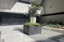 29. Plaza