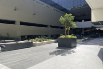 30. Plaza
