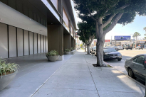20. Exterior