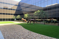 35. Courtyard