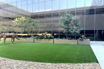 36. Courtyard