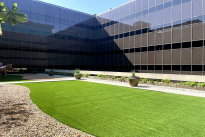 37. Courtyard