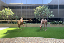 38. Courtyard