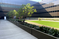 40. Courtyard