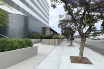 8. Exterior