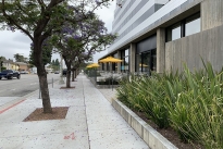16. Exterior