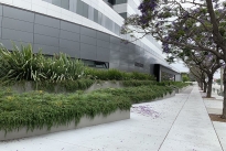 24. Exterior