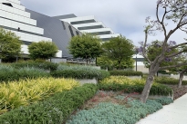 31. Exterior