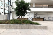 62. Lobby