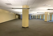 162. Suite101