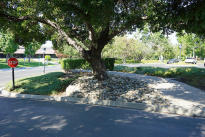 15. Exterior