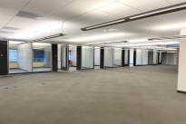 181. Suite 280