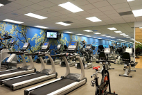 149. Gym