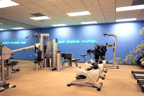 147. Gym
