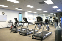 146. Gym