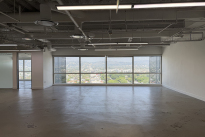 101. Suite 1550