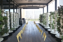 48. Second Floor