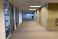 206. Suite 1100