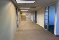 213. Suite 1100