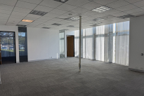 41. Suite 115