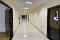 41. Lower level