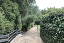 79. Park
