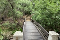 77. Park