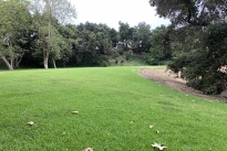 87. Park