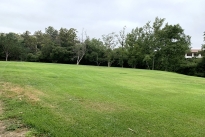 91. Park