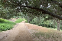 89. Park