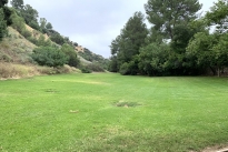 80. Park