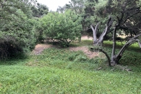 82. Park