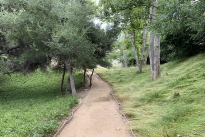 83. Park