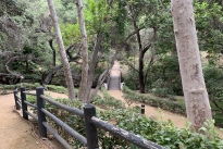 85. Park