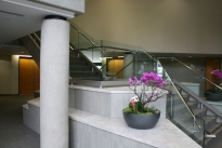 34. 2377 Bldg. Lobby