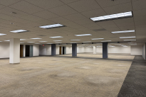 141. 300 Suite 3353 Bld.