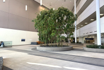 29. Michelson Lobby 