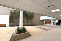 36. Michelson Lobby 