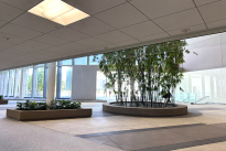 33. Michelson Lobby 