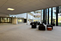 31. Michelson Lobby 