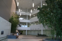 28.  Michelson Lobby 