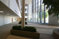37. Michelson Lobby 