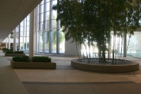 40. Michelson Lobby 