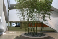 42. Michelson Lobby 